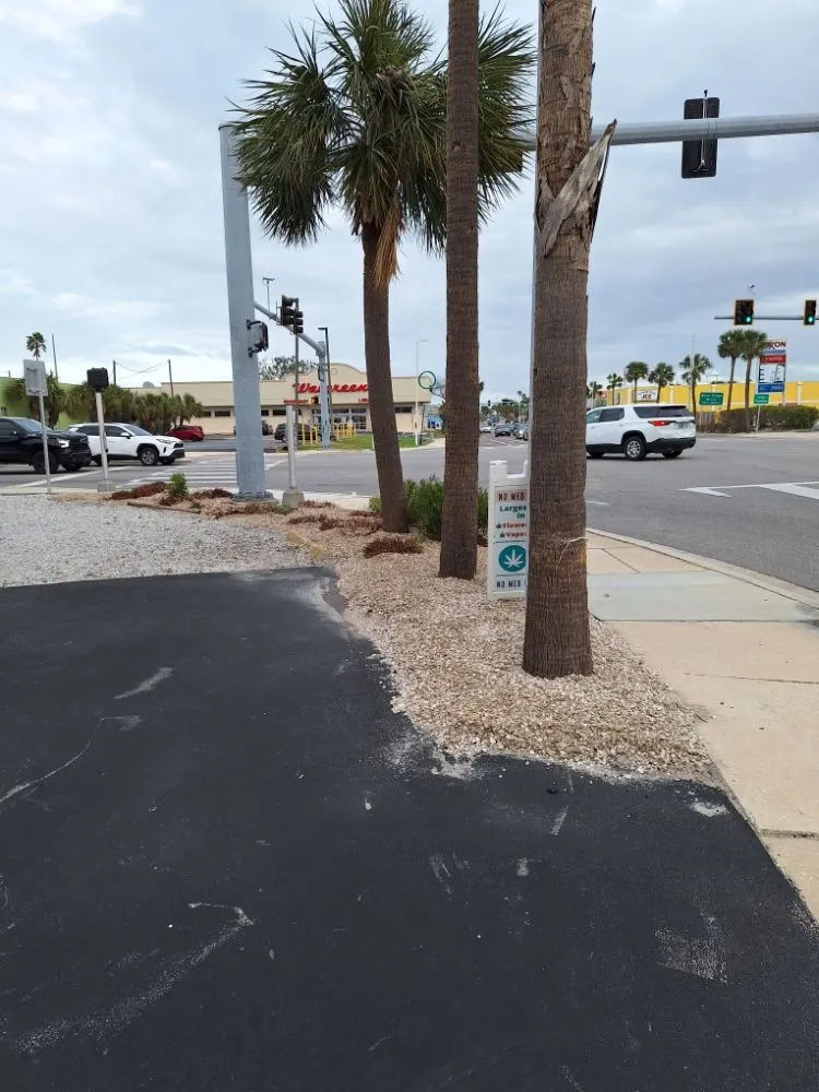 Expert landscape design near you in Kenneth City, FL by James D Cormey Lawn & Landscape Solutions