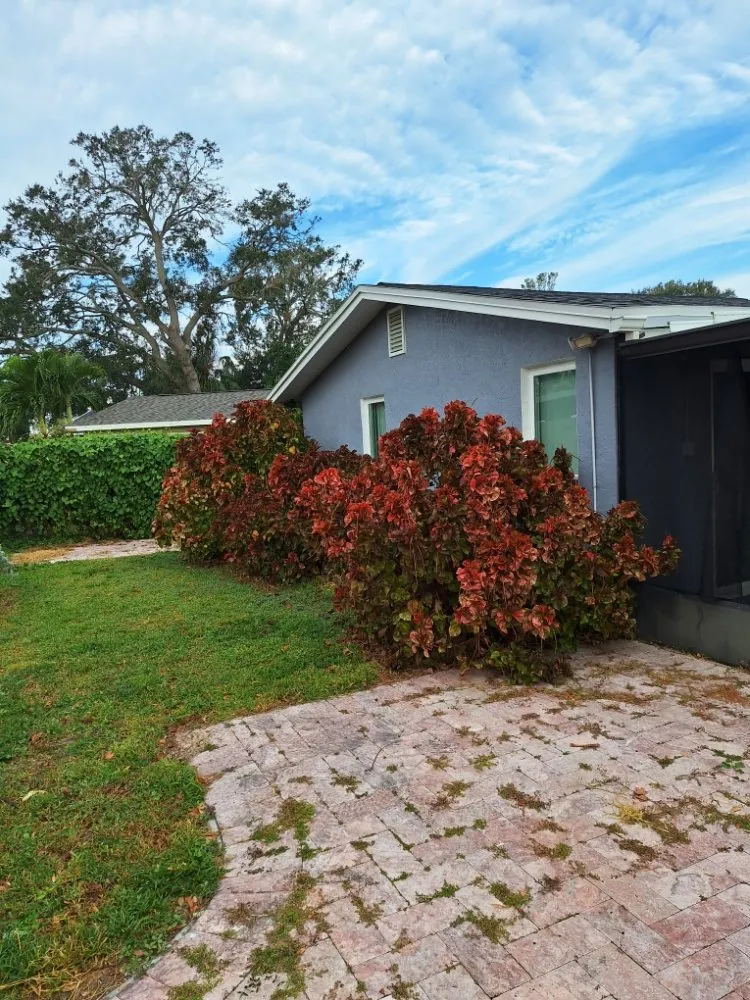 Trusted residential landscaping in Kenneth City, FL - James D Cormey Lawn & Landscape Solutions