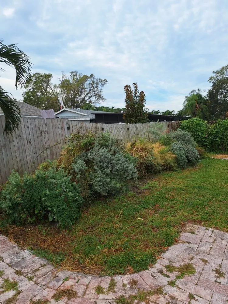 Professional landscape design in Kenneth City, FL by James D Cormey Lawn & Landscape Solutions