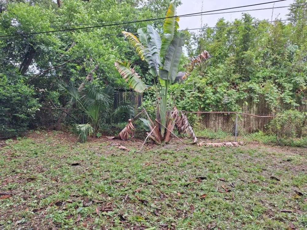 Professional yard maintenance near you across Kenneth City, FL - James D Cormey Lawn & Landscape Solutions