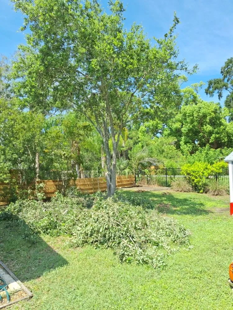 Local yard cleanup service for outdoor upgrades across Kenneth City, FL - James D Cormey Lawn & Landscape Solutions