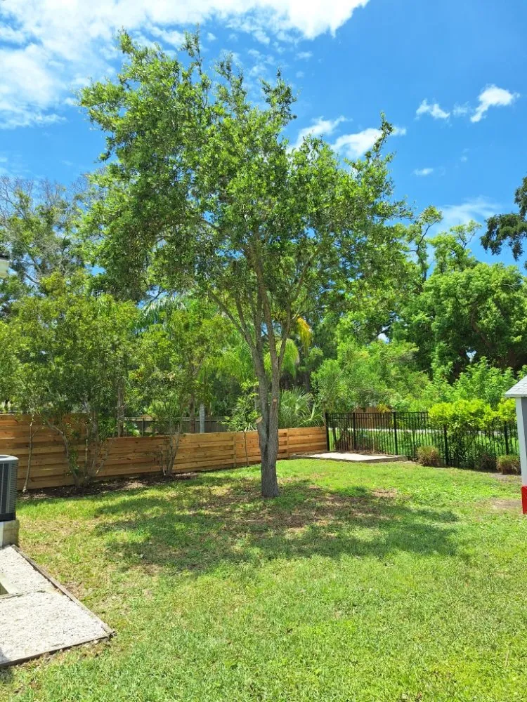 Professional yard cleanup service in Kenneth City, FL by James D Cormey Lawn & Landscape Solutions