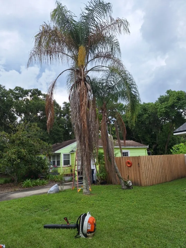 Custom landscape design in Kenneth City, FL by James D Cormey Lawn & Landscape Solutions