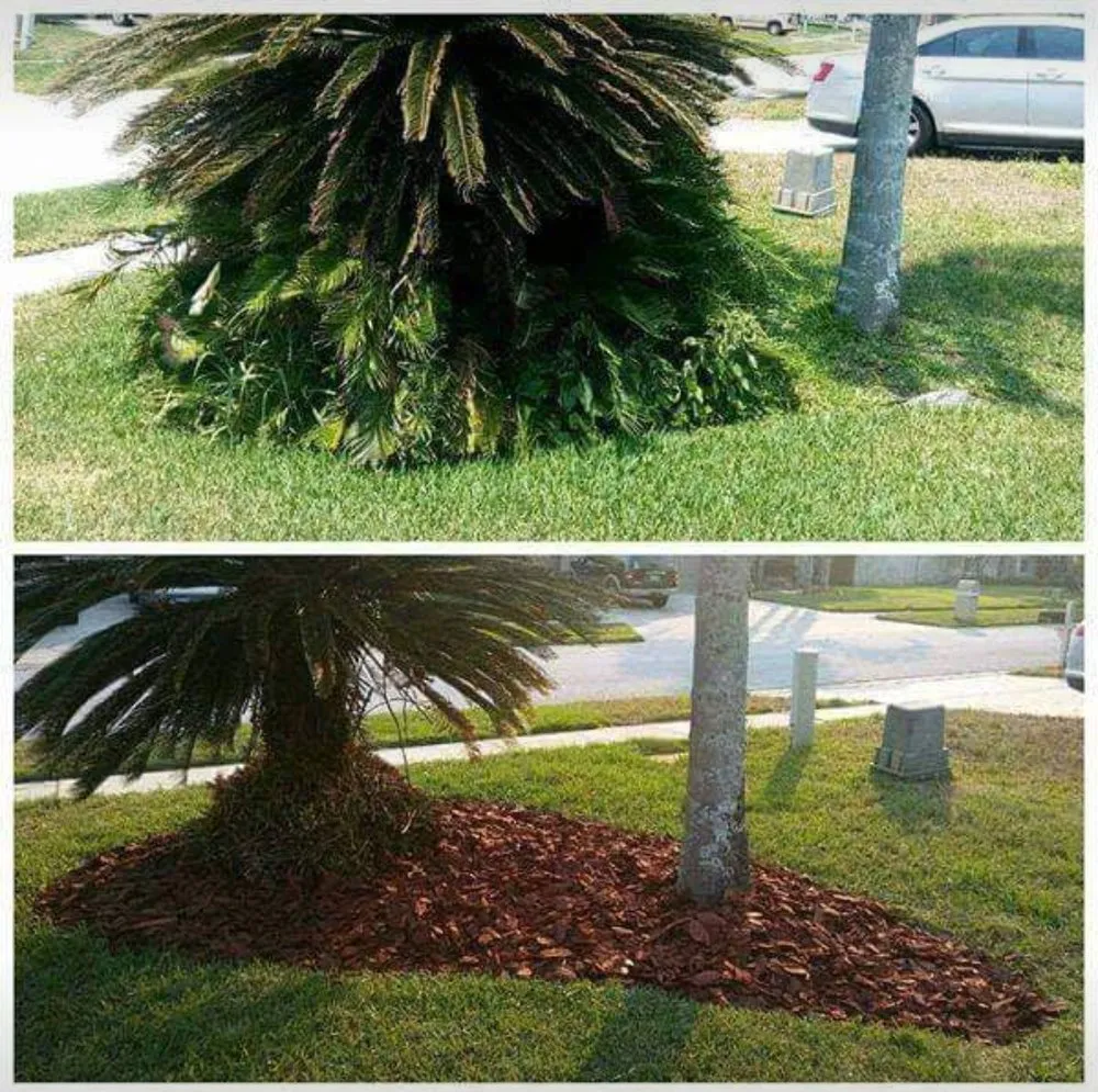 Expert yard cleanup service experts serving Brooksville, FL - James E Kelly Maintenance Services