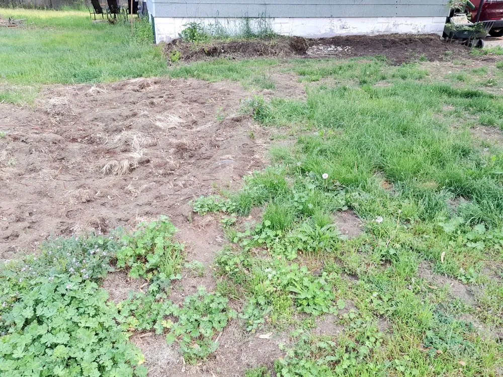 Affordable lawn care service in Port Huron, MI by James Family Outdoor Service