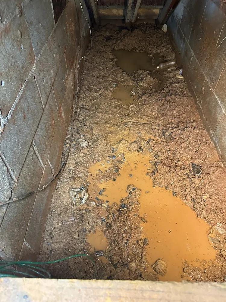 Trusted outdoor landscaping in Columbia, SC - James French Drainage & More