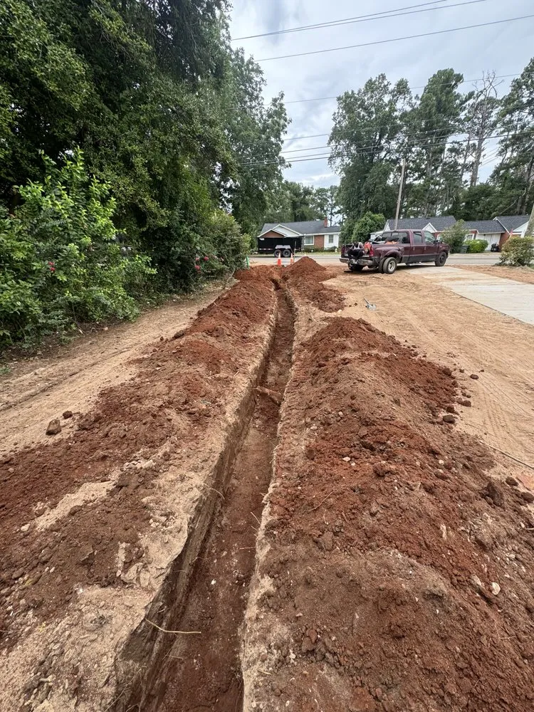 Expert yard cleanup service experts serving Columbia, SC - James French Drainage & More