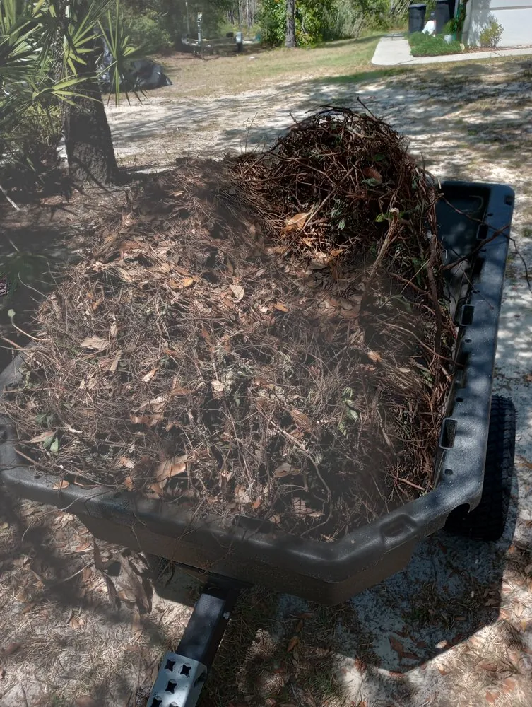 Expert garden landscaping experts serving Dunnellon, FL - James from Woodchuck Service