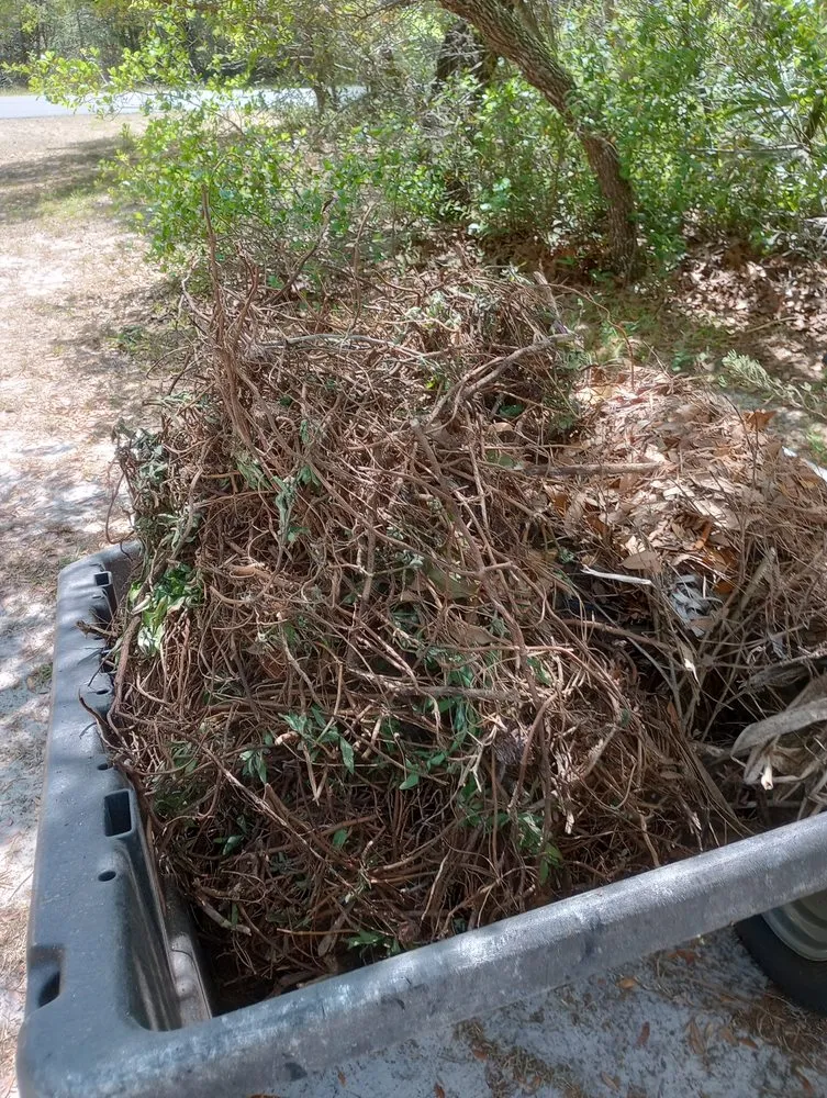 Reliable yard cleanup service in Dunnellon, FL by James from Woodchuck Service