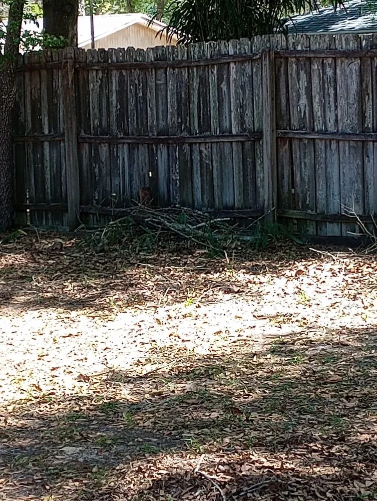 Local yard cleanup service for beautiful yards in Dunnellon, FL by James from Woodchuck Service