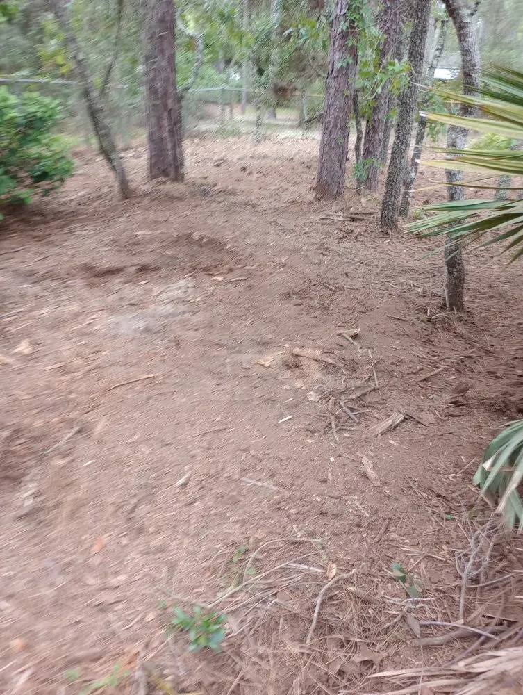 Trusted lawn care service near you in Dunnellon, FL by James from Woodchuck Service