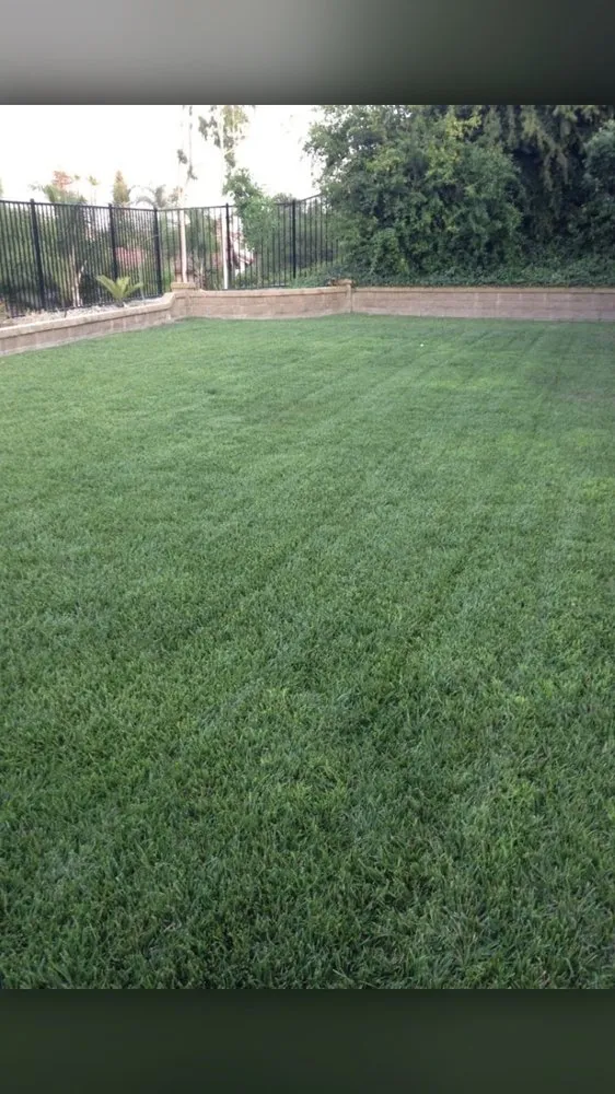 Reliable lawn mowing service for outdoor upgrades across Rancho Santa Margarita, CA - James Gardening