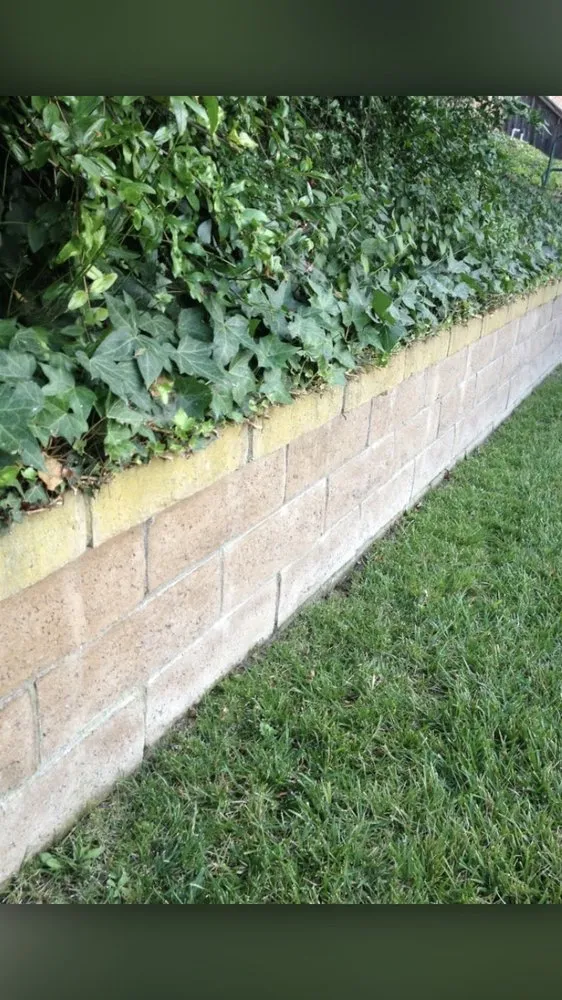 Professional outdoor landscaping in Rancho Santa Margarita, CA - James Gardening