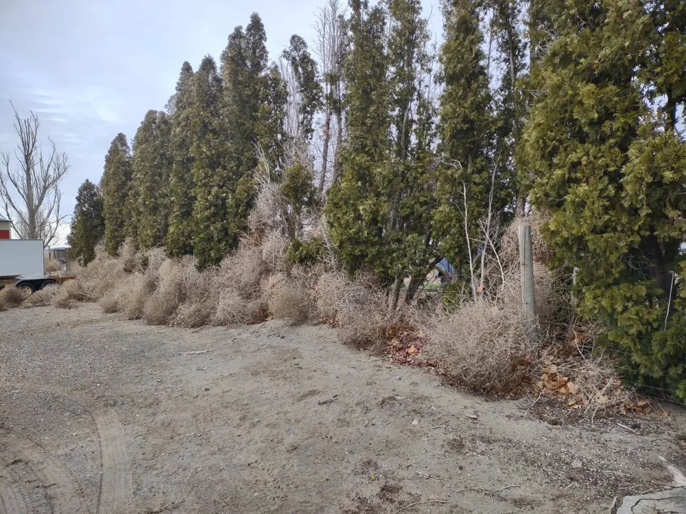 Local lawn care service for outdoor upgrades across Kennewick, WA - James' handyman/landscaping services!