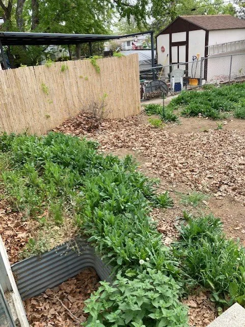 Custom landscaping services experts serving Kennewick, WA - James' handyman/landscaping services!