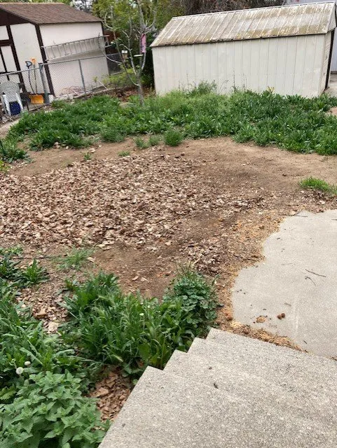 Affordable residential landscaping for beautiful yards across Kennewick, WA - James' handyman/landscaping services!