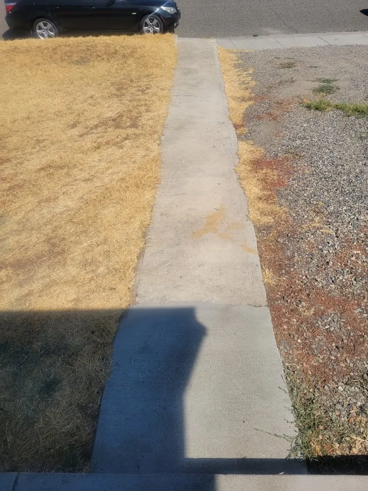 Reliable yard cleanup service in Kennewick, WA by James' handyman/landscaping services!