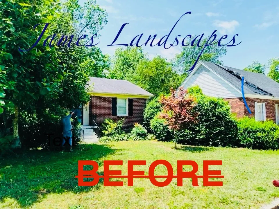 Custom garden landscaping near you in Joanna, SC by James Landscapes