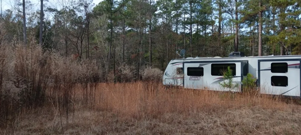 Top-rated lawn mowing service for year-round maintenance across Joanna, SC - James Landscapes