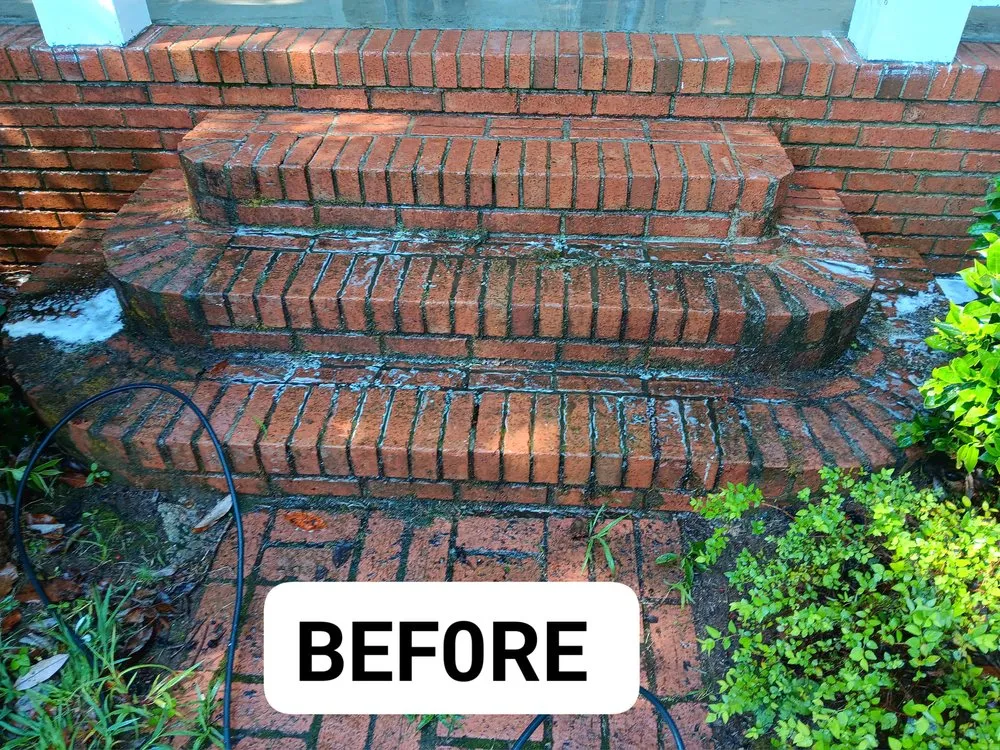 Reliable yard cleanup service in Joanna, SC by James Landscapes