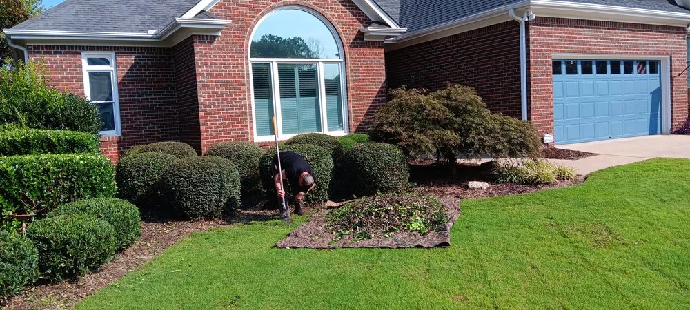 Top-rated residential landscaping near you across Joanna, SC - James Landscapes