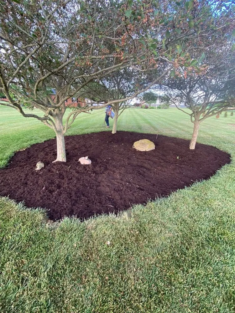 Affordable lawn mowing service in Owensboro, KY - James Landscaping