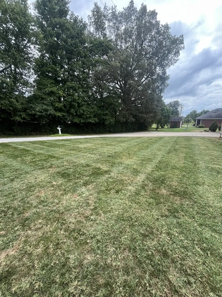 Reliable landscaping services for beautiful yards in Owensboro, KY by James Landscaping