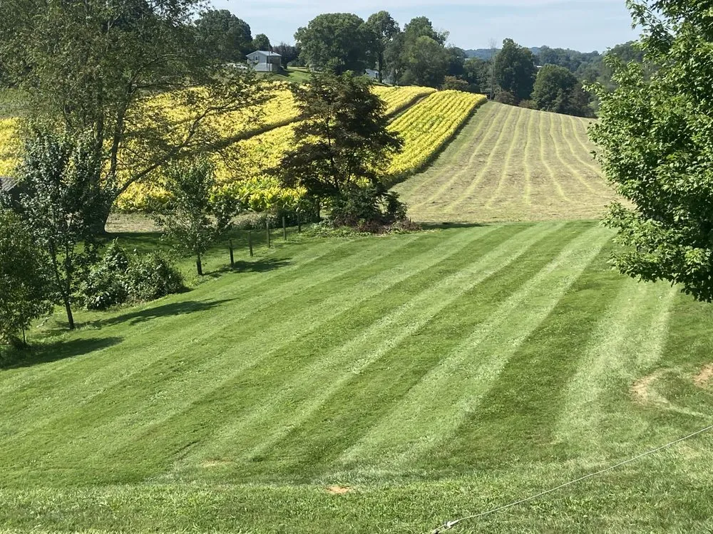 Affordable landscape design for beautiful yards in Bristol, TN by James Lawn Care And More