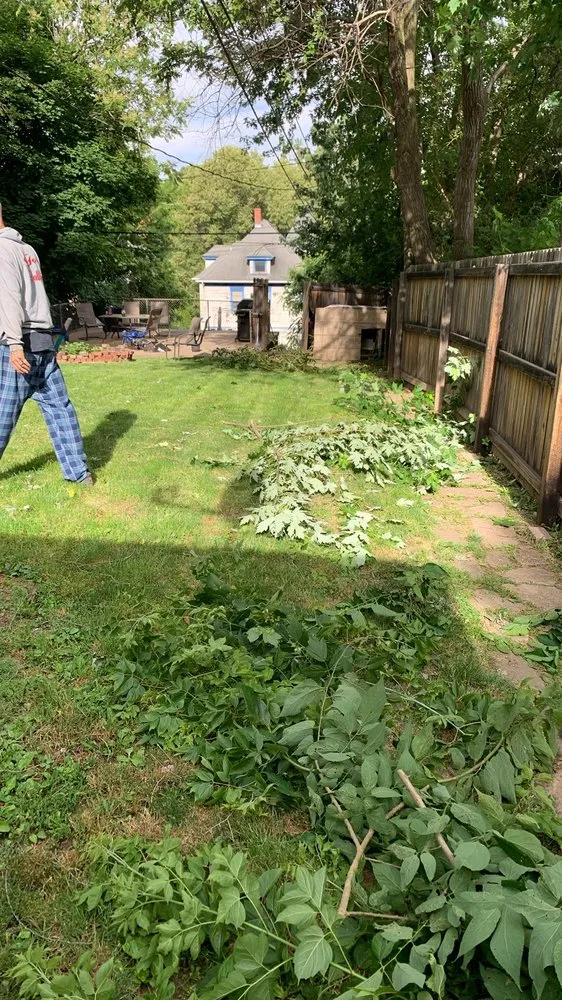 Professional landscaping services in Davenport, IA - James’ Lawn Care