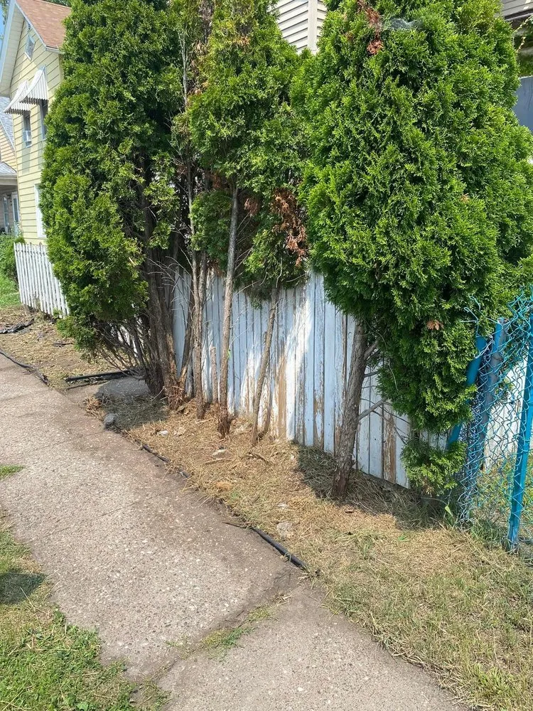 Top-rated garden landscaping in Davenport, IA - James’ Lawn Care