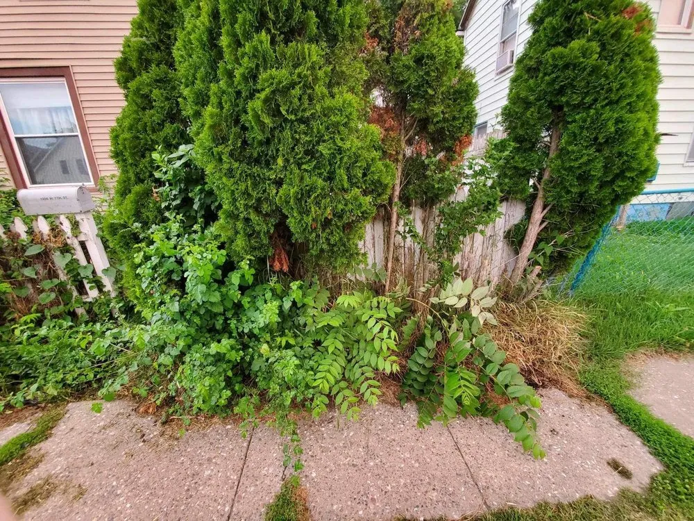 Expert yard maintenance for year-round maintenance across Davenport, IA - James’ Lawn Care