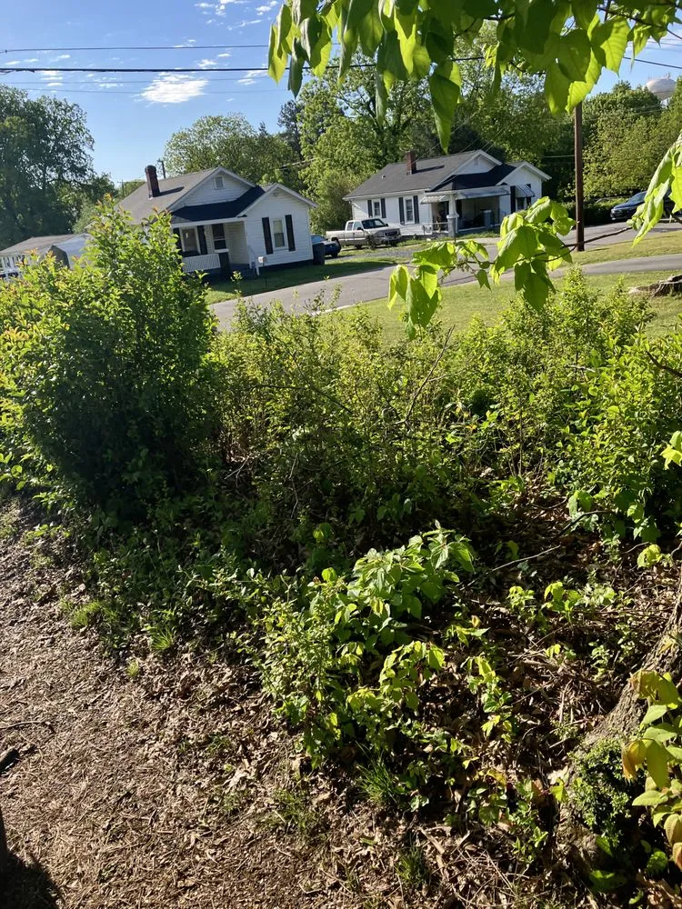 Professional yard cleanup service experts serving Greensboro, NC - James Lawn Care