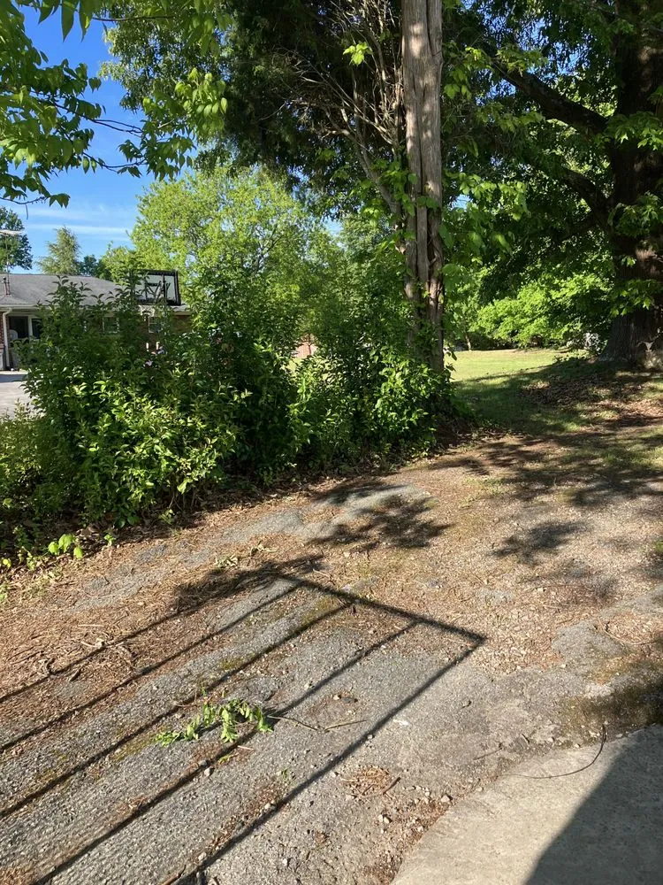 Professional landscape installation for residential properties across Greensboro, NC - James Lawn Care