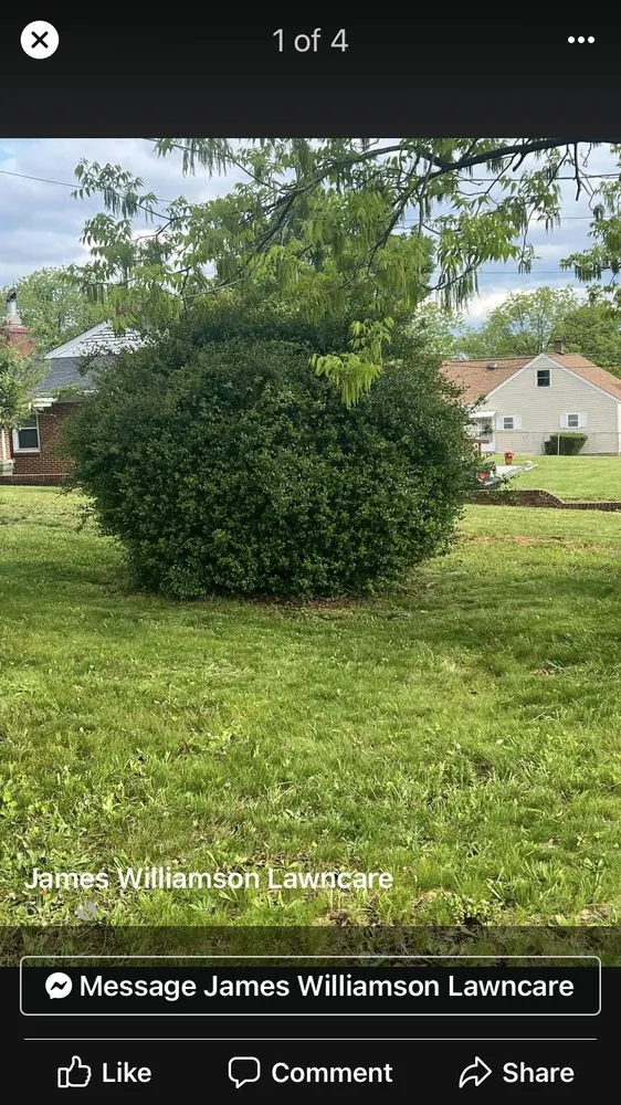 Affordable residential landscaping in Greensboro, NC - James Lawn Care