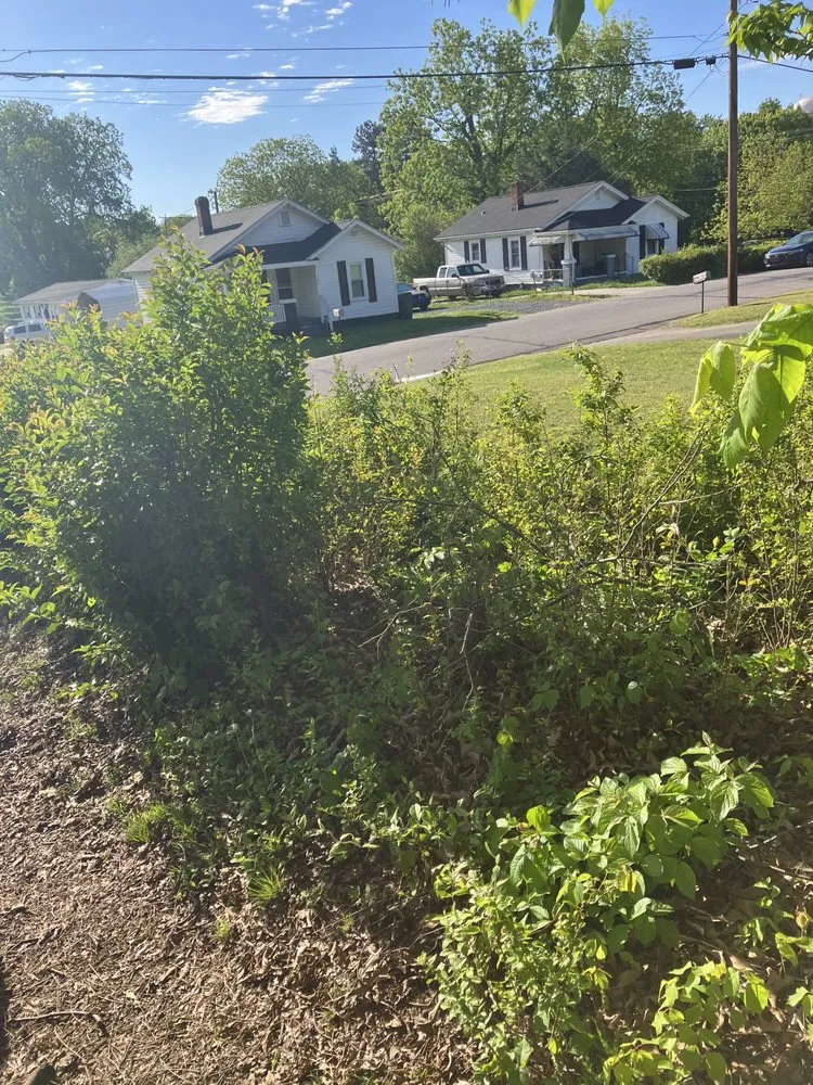 Expert landscape installation in Greensboro, NC by James Lawn Care