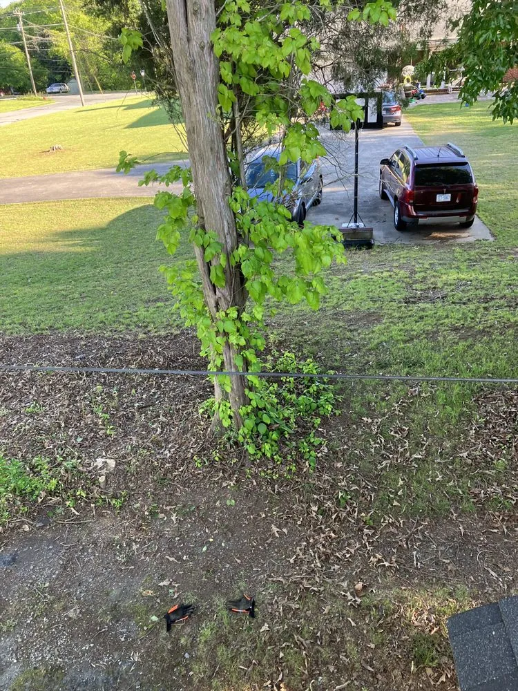 Local landscaping services for year-round maintenance across Greensboro, NC - James Lawn Care