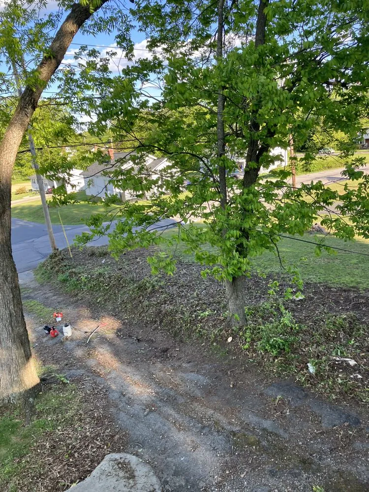 Affordable residential landscaping for year-round maintenance across Greensboro, NC - James Lawn Care