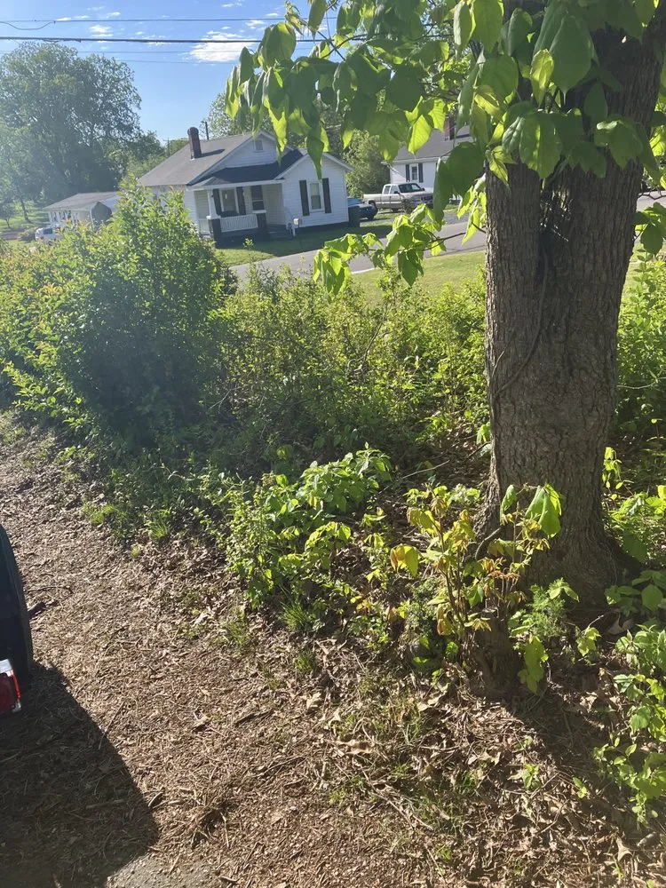 Local lawn care service in Greensboro, NC by James Lawn Care