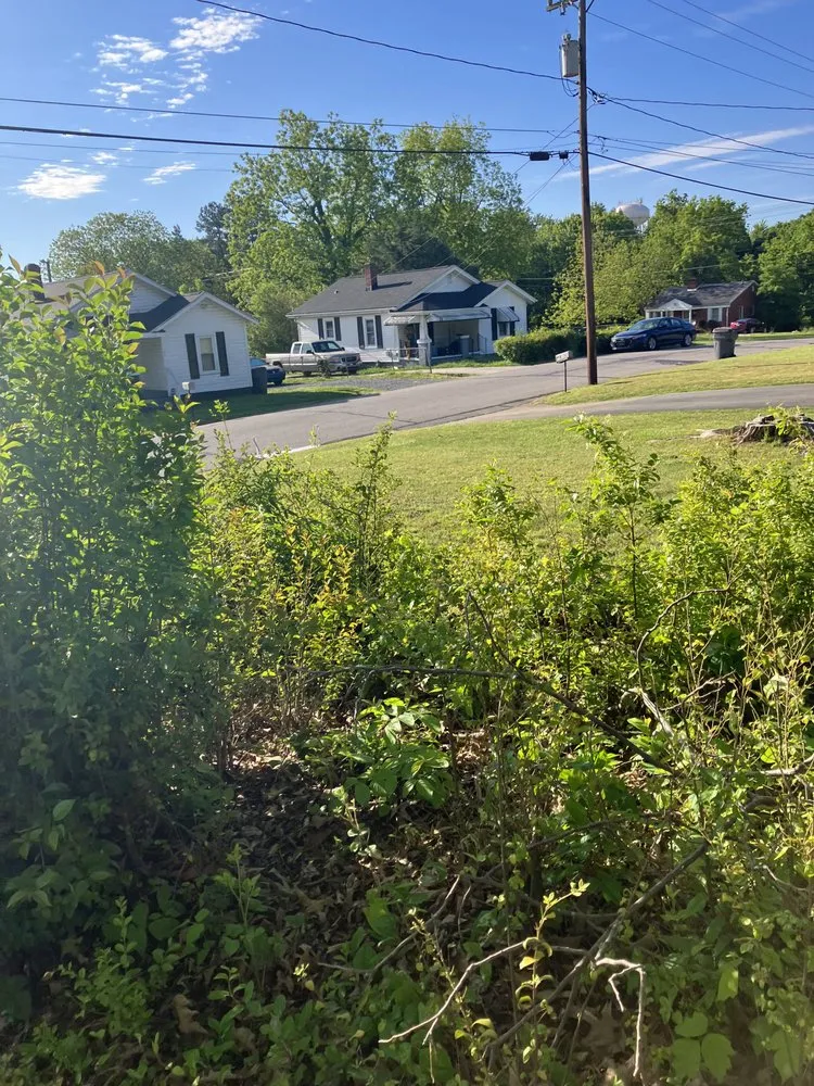 Top-rated lawn care service in Greensboro, NC by James Lawn Care