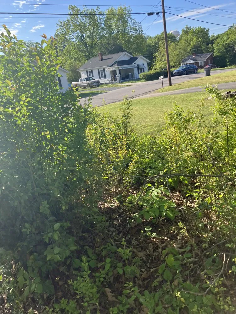 Reliable lawn mowing service experts serving Greensboro, NC - James Lawn Care