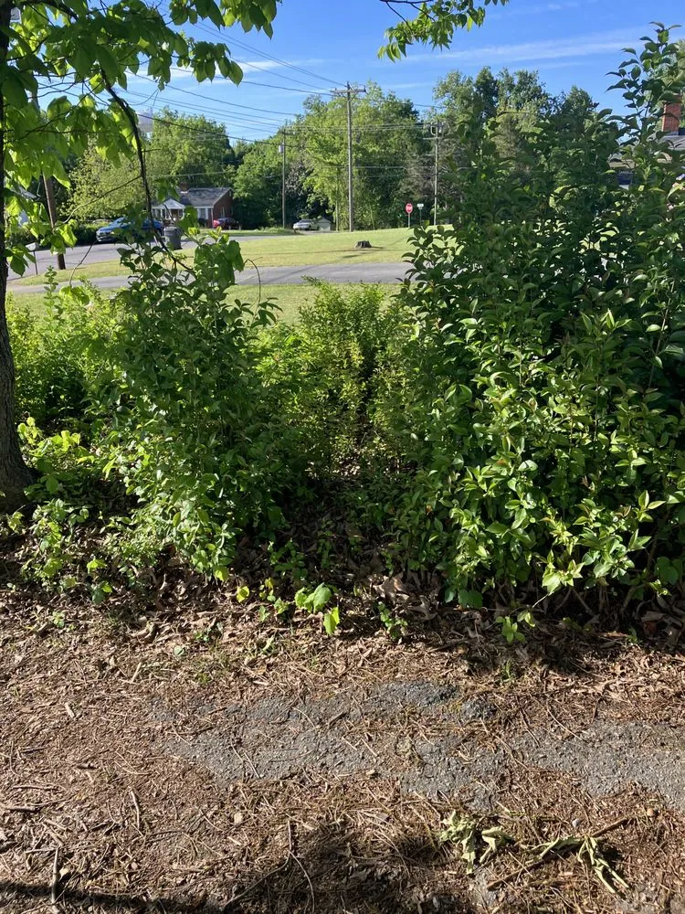 Reliable yard maintenance in Greensboro, NC - James Lawn Care