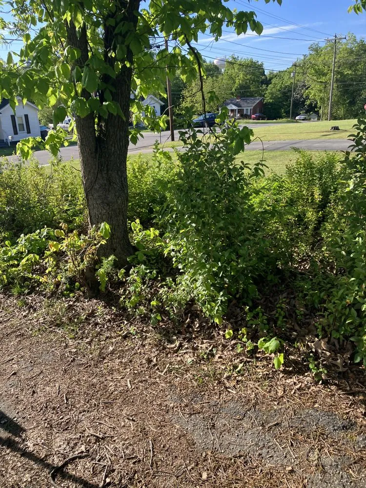 Local lawn mowing service with custom design in Greensboro, NC by James Lawn Care