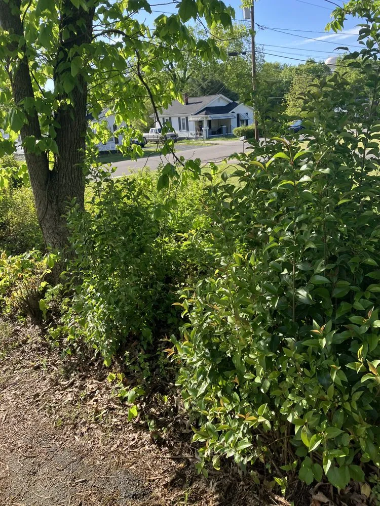 Trusted lawn mowing service experts serving Greensboro, NC - James Lawn Care