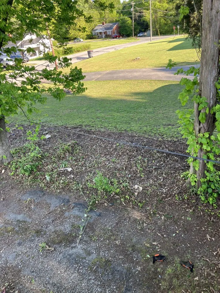 Expert landscape installation in Greensboro, NC - James Lawn Care