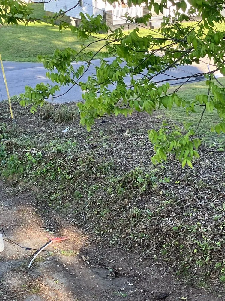 Trusted outdoor landscaping in Greensboro, NC by James Lawn Care