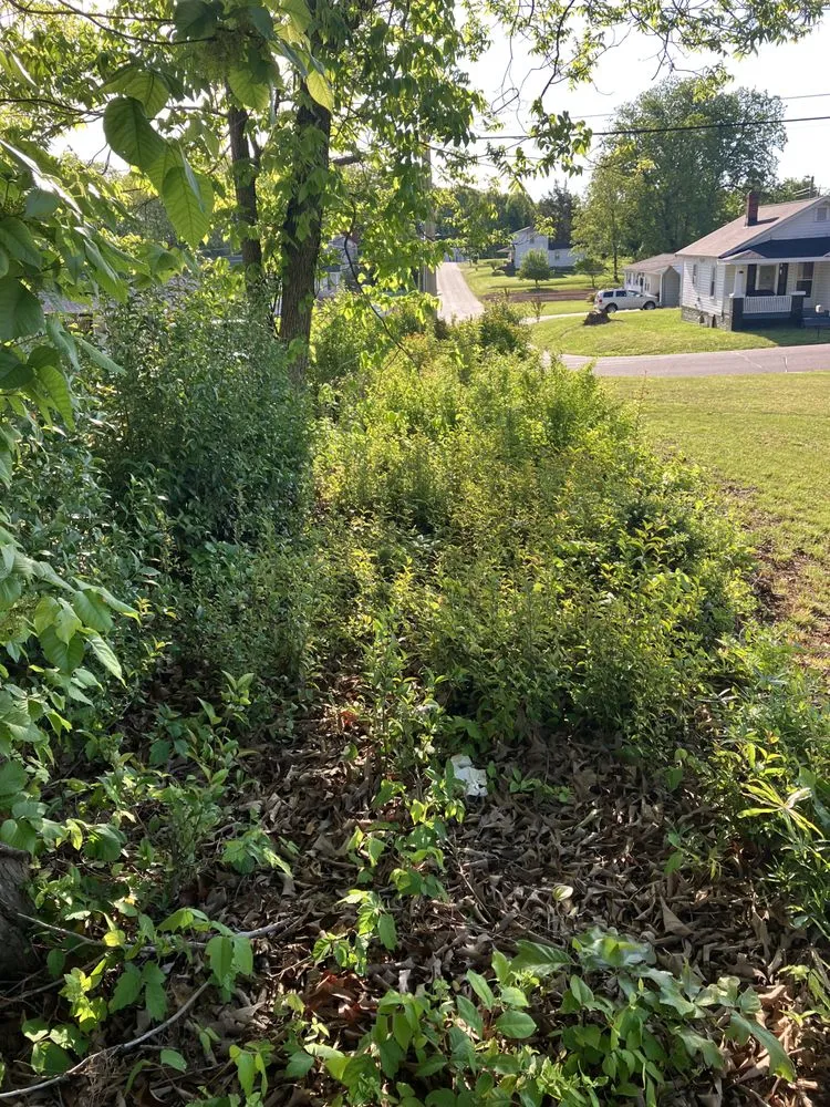 Top-rated landscaping services for outdoor upgrades across Greensboro, NC - James Lawn Care