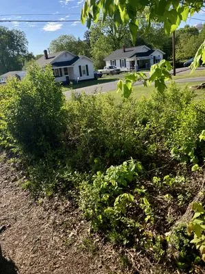 James Lawn Care Logo