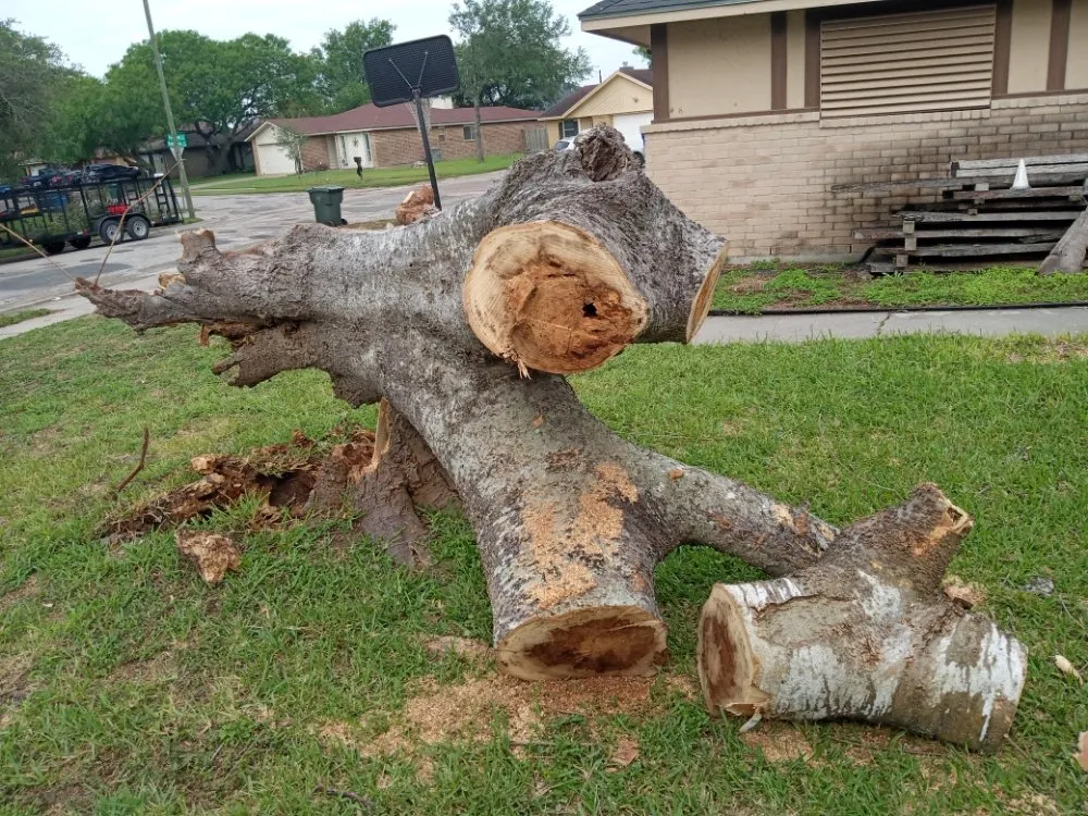 Reliable residential landscaping in Corpus Christi, TX - James Lawn Service