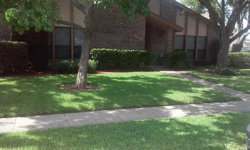 Professional lawn care service in Corpus Christi, TX by James Lawn Service