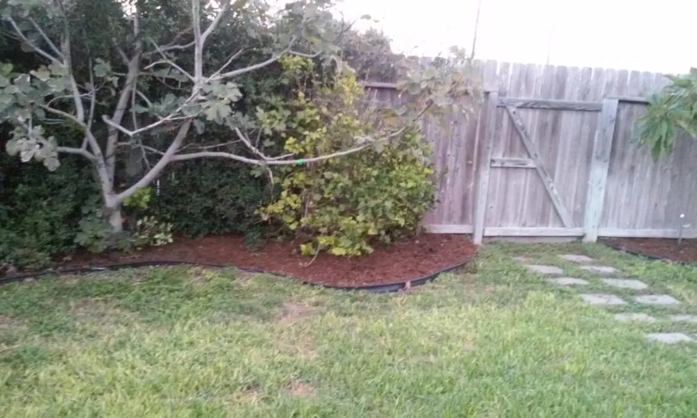 Trusted landscaping services for outdoor upgrades in Corpus Christi, TX by James Lawn Service